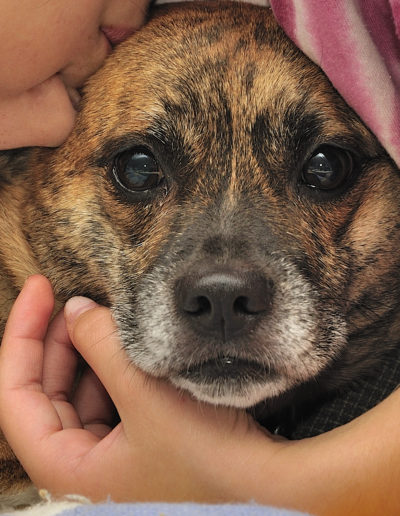 Portrait of a girl and her dog