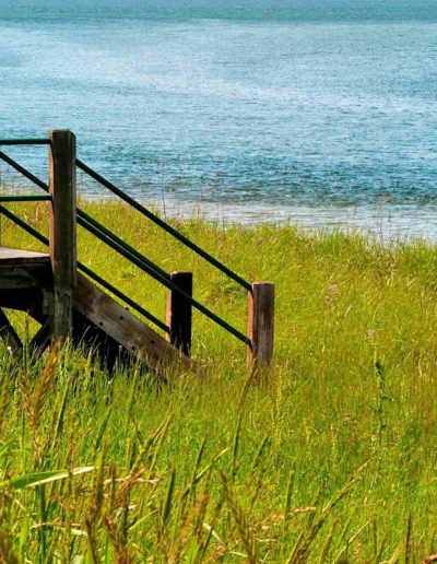 Family Portrait Photographer