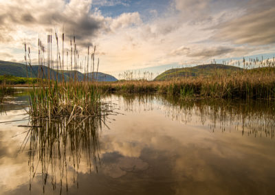 Reflections in Constitution Marsh